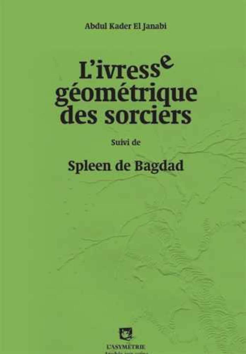 L'ivresse géométrique des sorciers: La seconde venue du livre
