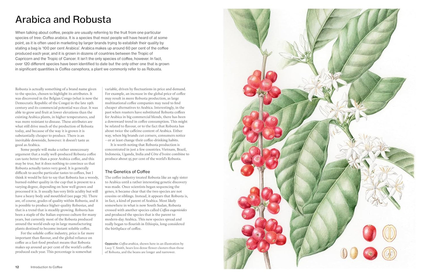The world atlas of coffee
