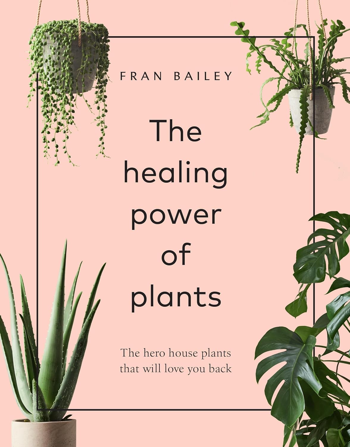 Le pouvoir de guérison des plantes : les plantes d'intérieur héroïques qui vous aimeront en retour