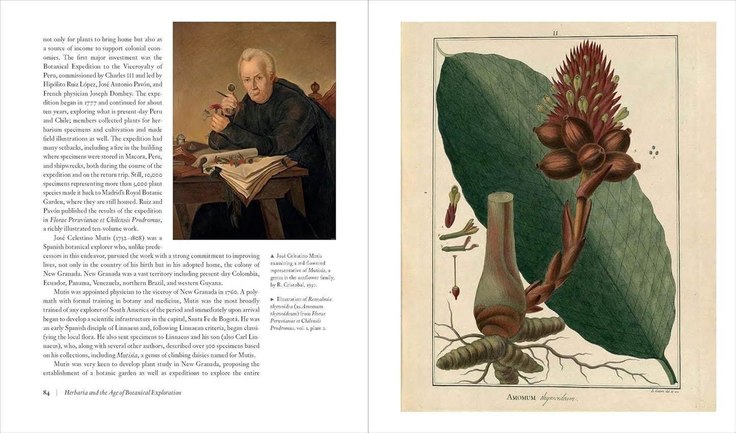 Herbarium: The Quest to Preserve and Classify the World's Plants