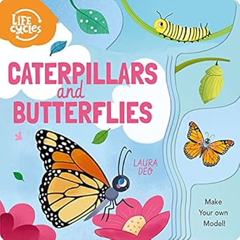 Caterpillars and Butterflies: Make Your Own Model!