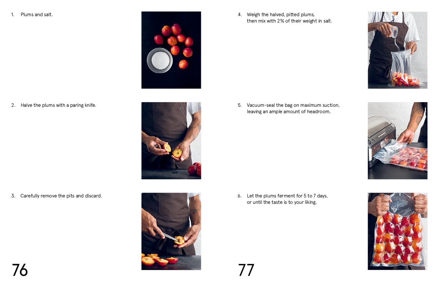 Le guide Noma de la fermentation