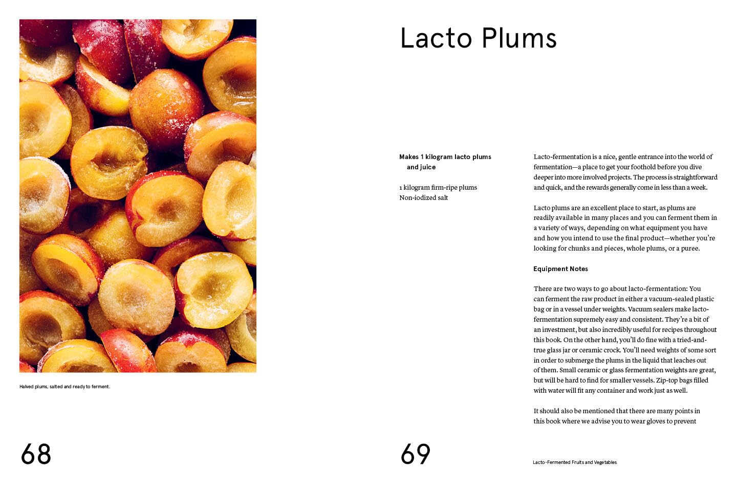 Le guide Noma de la fermentation