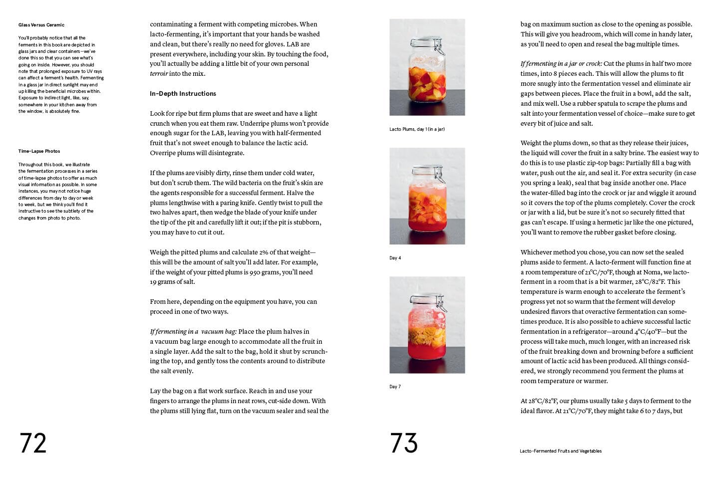 Le guide Noma de la fermentation