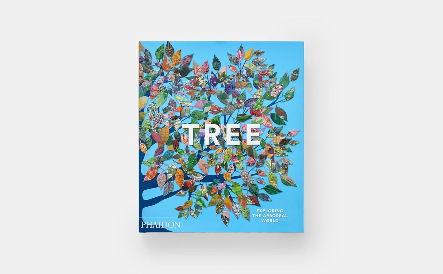 Arbre : À la découverte du monde arboricole