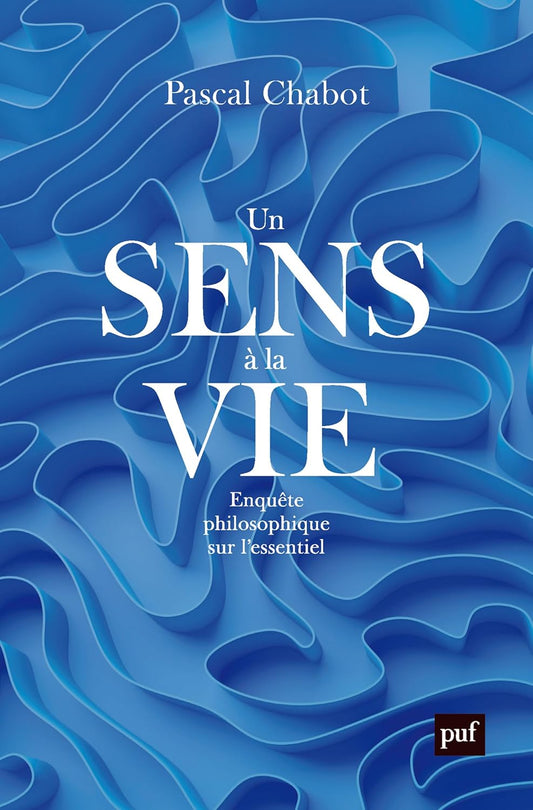 Un sens à la vie : Enquête philosophique sur l'essentiel 