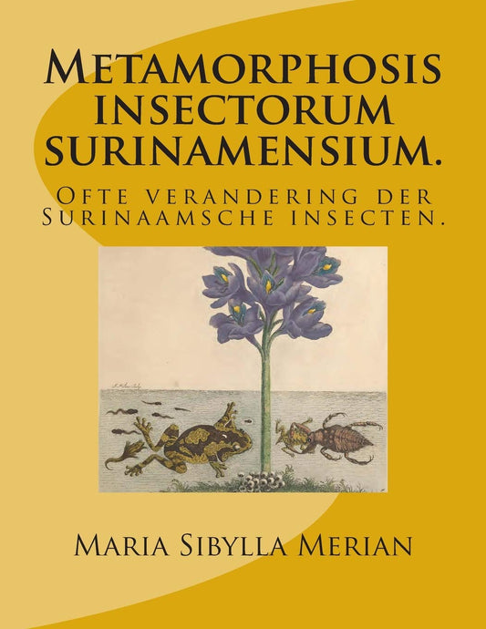 Metamorphosis Insectorum Surinamensium: Souvent visité les insectes du Surinaamsche