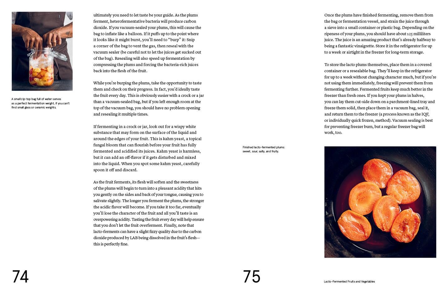 Le guide Noma de la fermentation