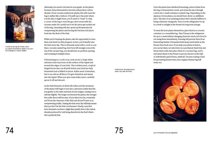 Le guide Noma de la fermentation