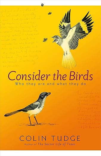 Considérez les oiseaux