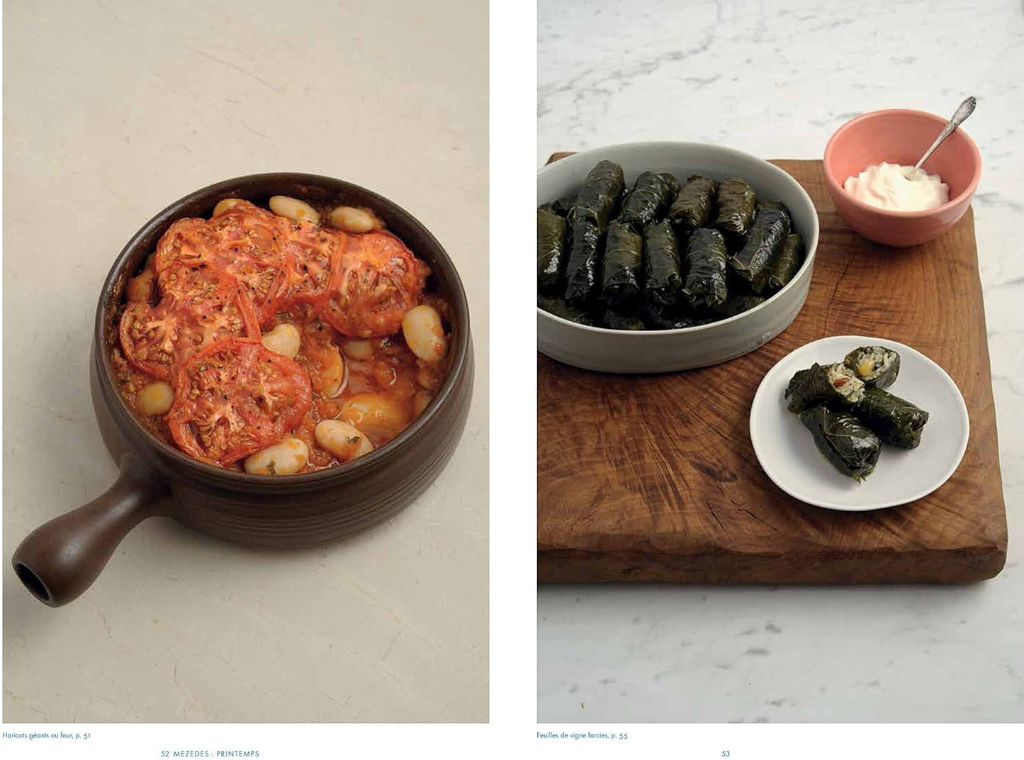 Grèce le livre de cuisine