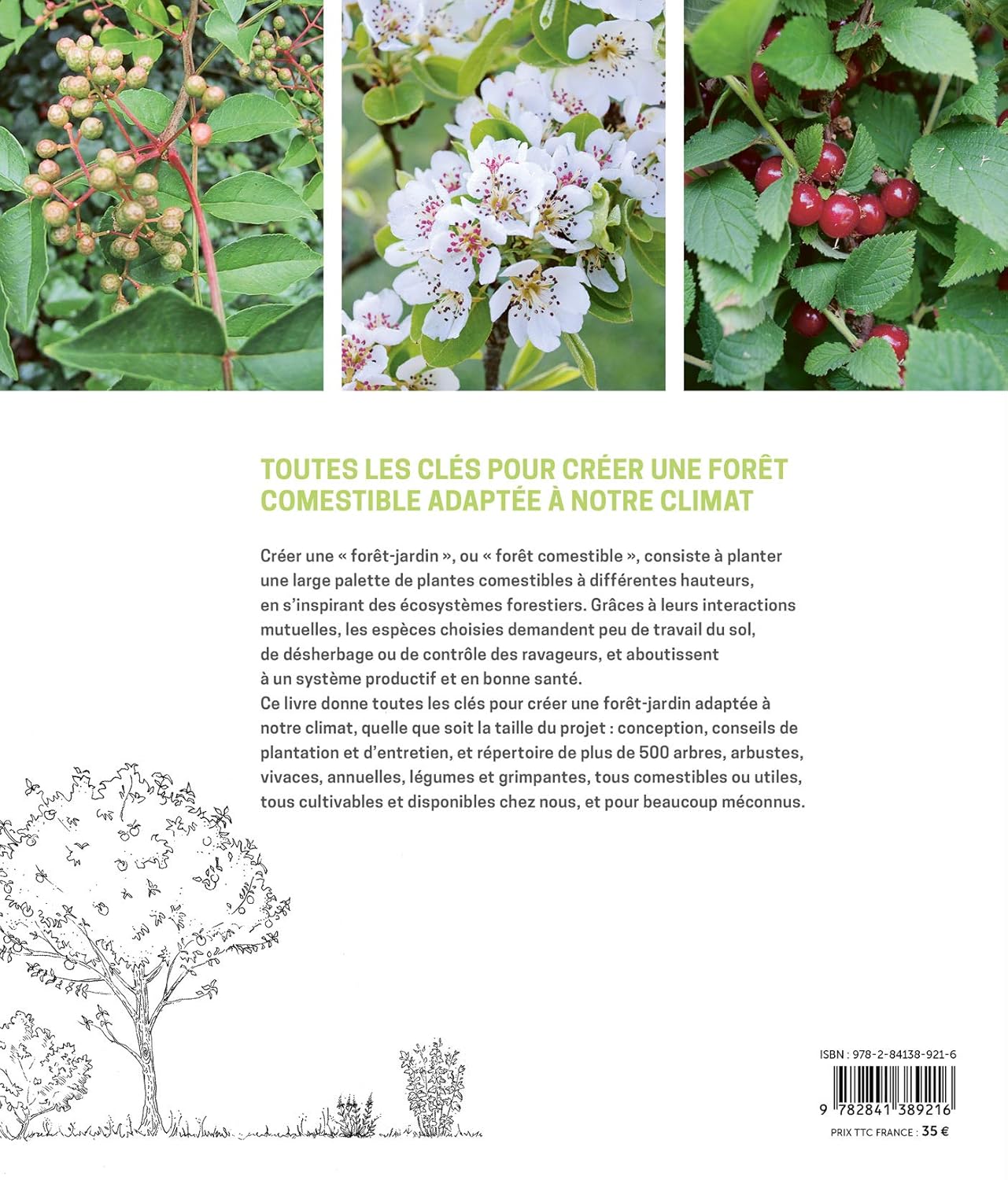 La forêt-jardin