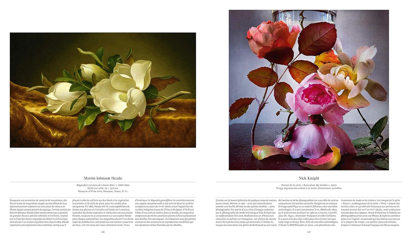 Fleurs : Explorer le monde floral