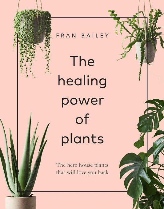 Le pouvoir de guérison des plantes : les plantes d'intérieur héroïques qui vous aimeront en retour