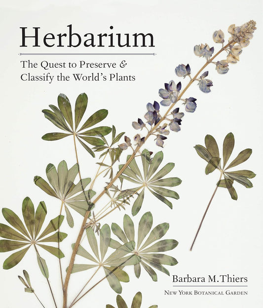 Herbier : la quête pour préserver et classer les plantes du monde