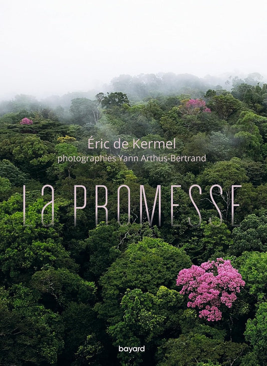 La promesse 
