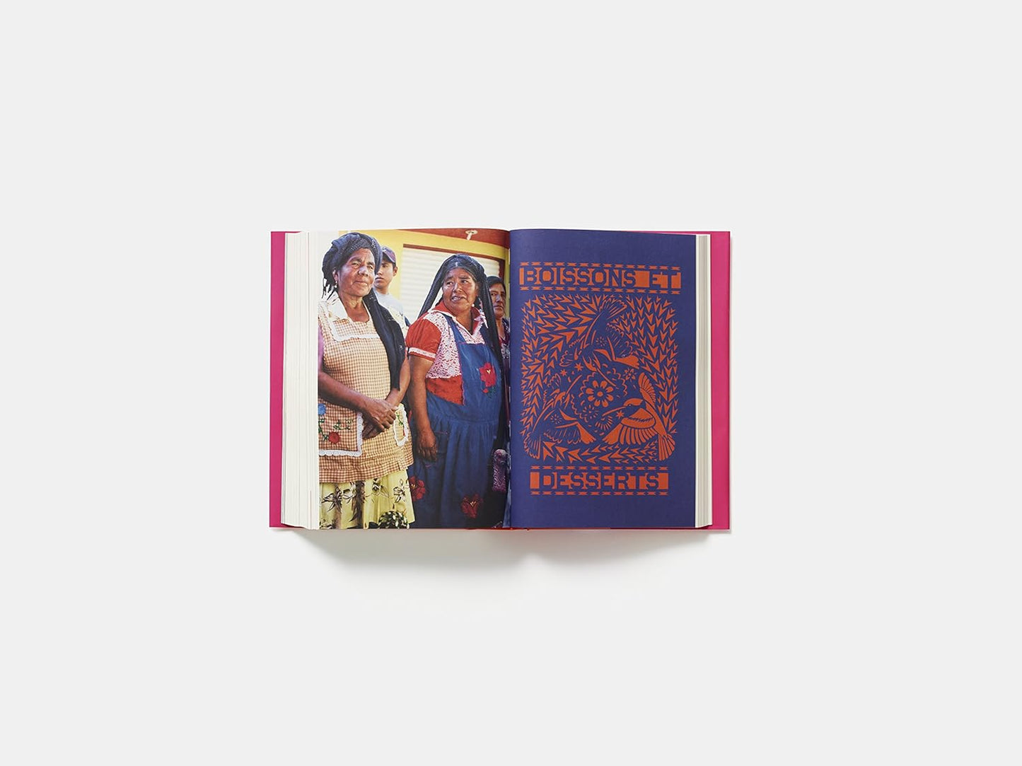 Mexique le livre de cuisine