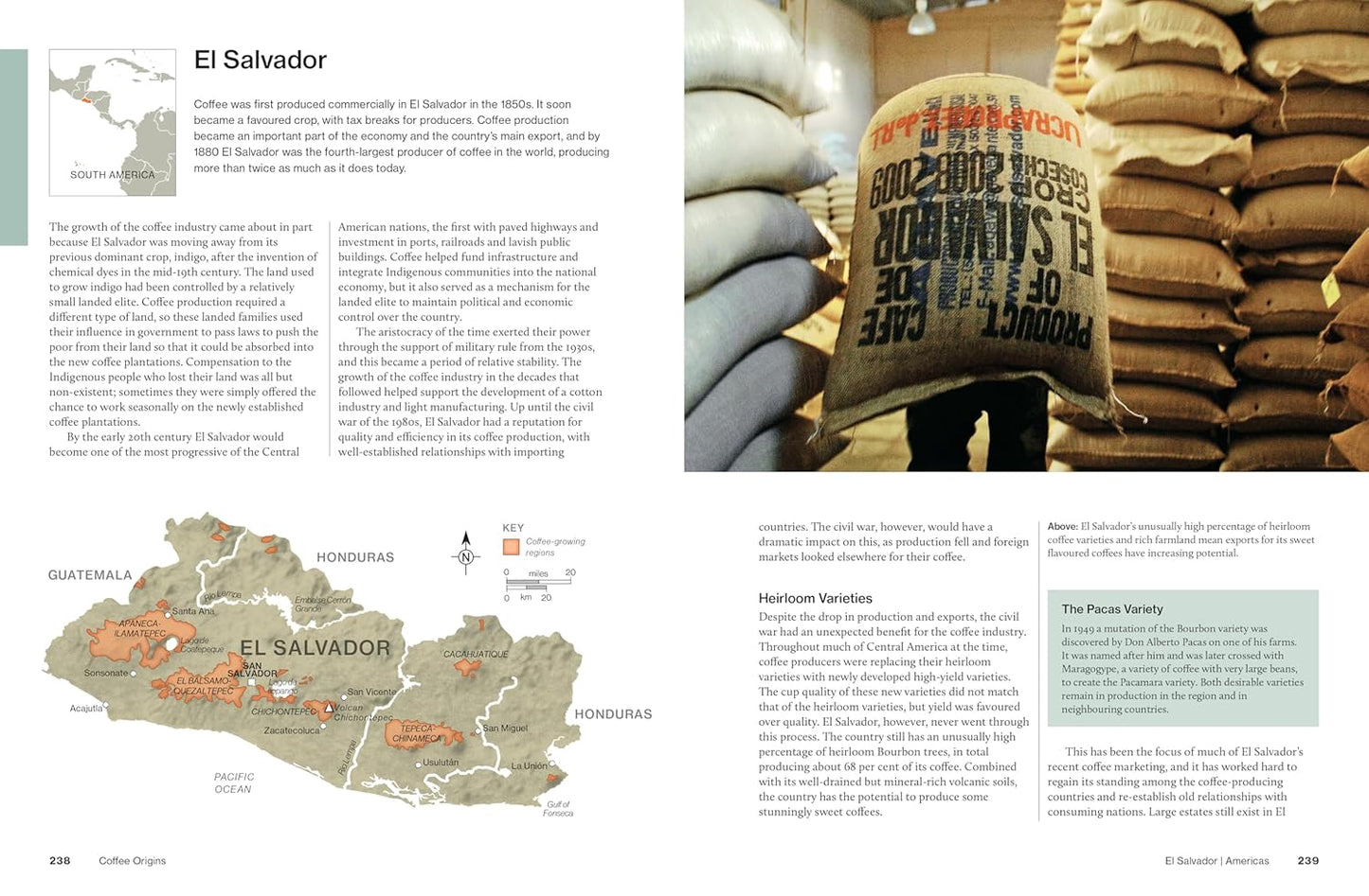 L'atlas mondial du café