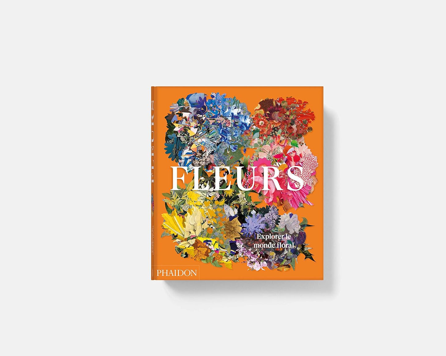 Fleurs : Explorer le monde floral