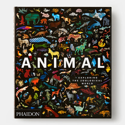 Animal : À la découverte du monde zoologique