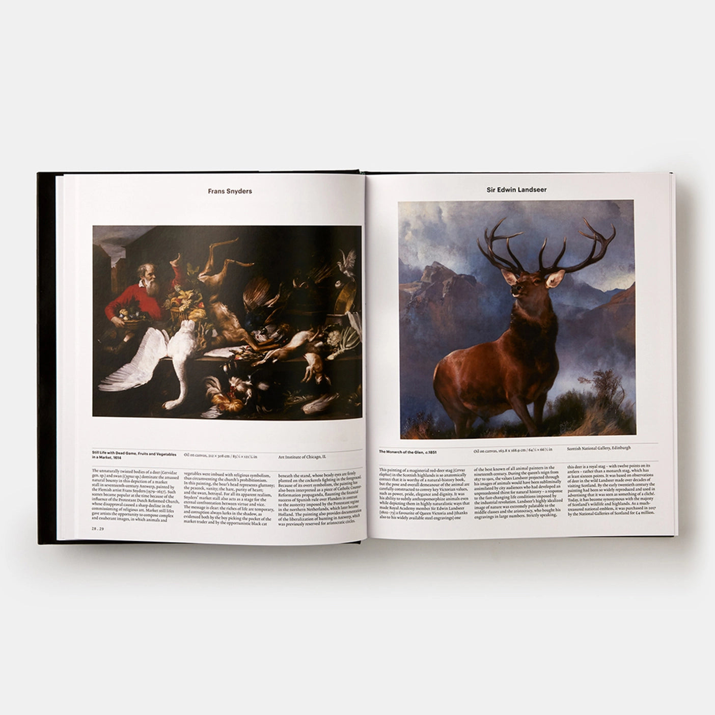 Animal : À la découverte du monde zoologique