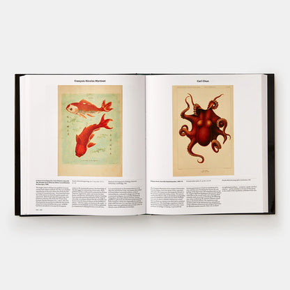 Animal : À la découverte du monde zoologique