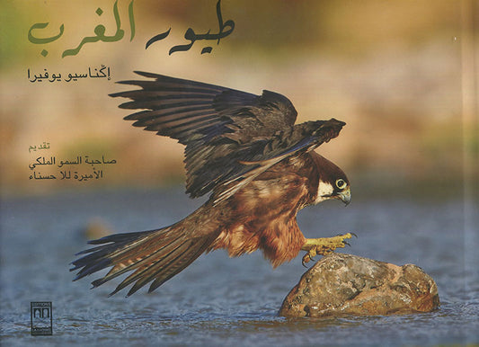 TOUYOUR AL MAGHRIB (LES OISEAUX DU MAROC)